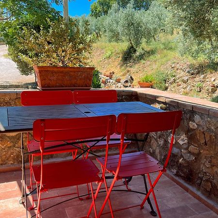 Agriturismo Schiaccia Ghiande Massa Marittima Εξωτερικό φωτογραφία