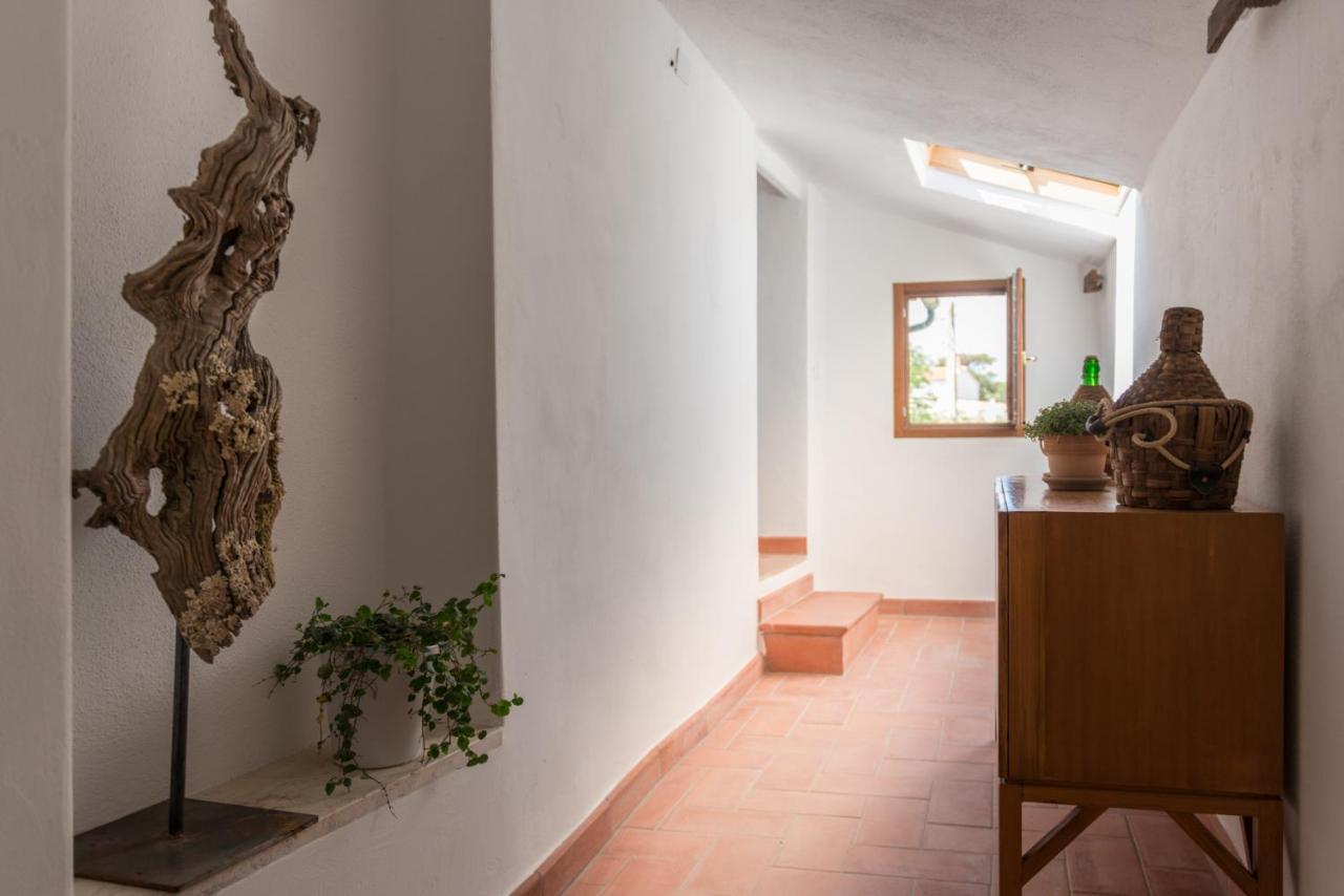 Agriturismo Schiaccia Ghiande Massa Marittima Εξωτερικό φωτογραφία